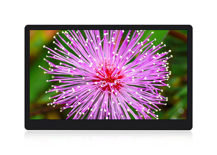 9.8mm Thickness Full View Angle High Resolution Portable IPS Monitor